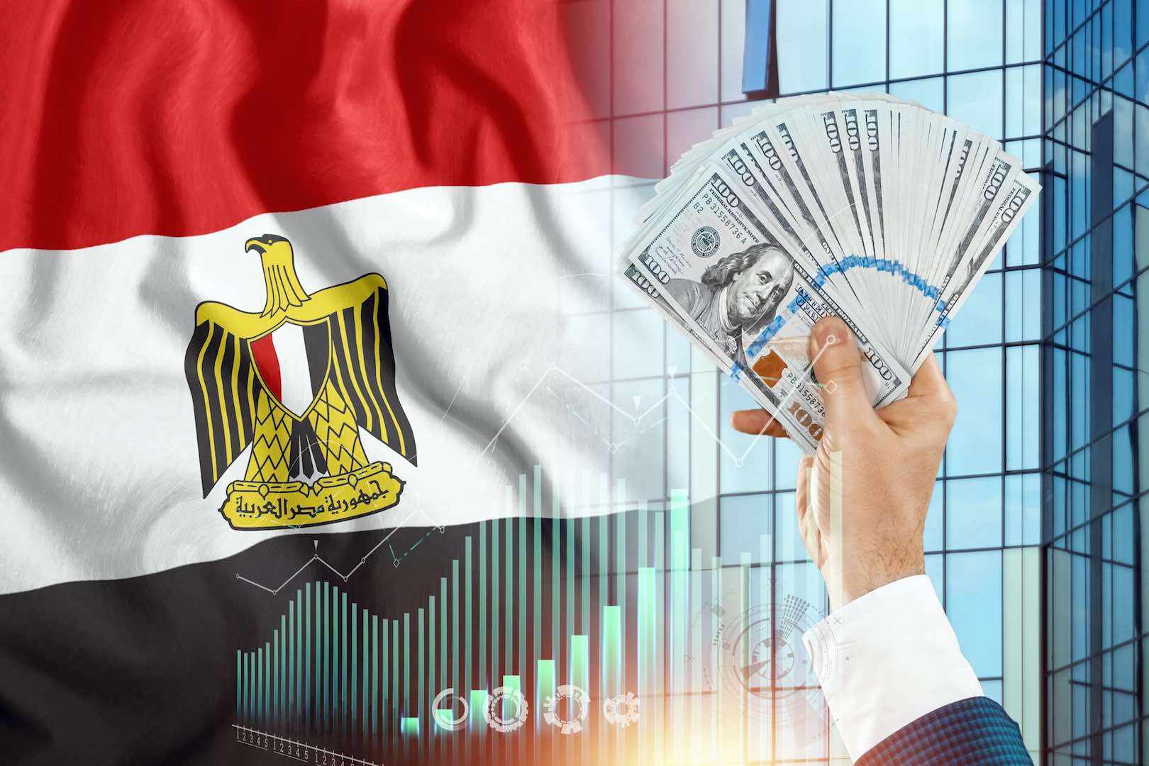 مصر توفر فرصة ذهبية لمواطنيها في الخارج